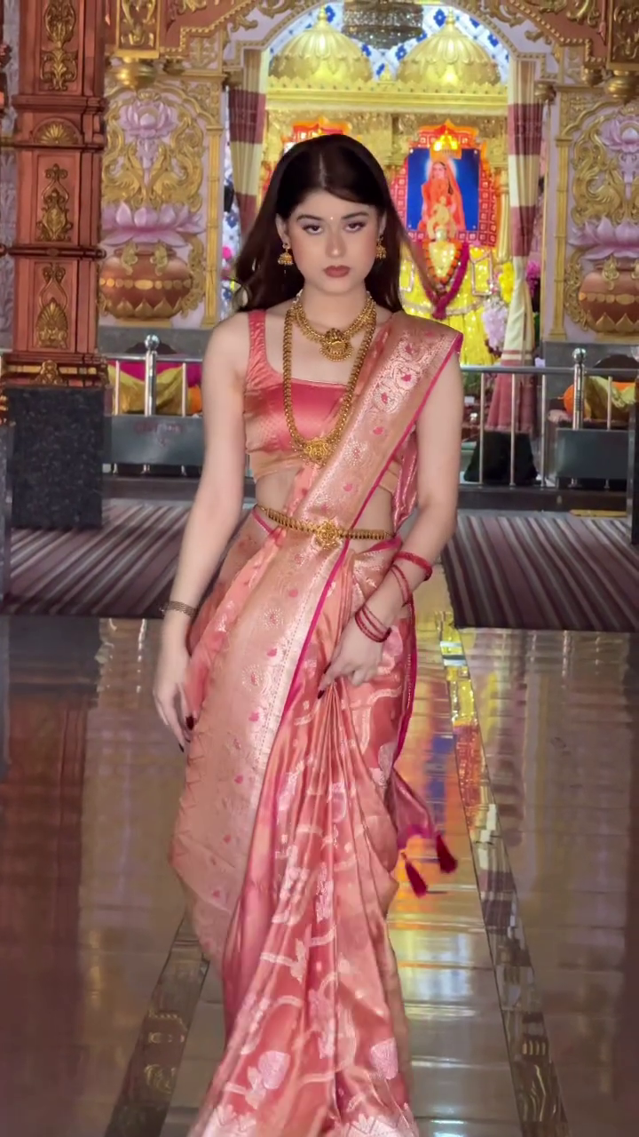 Organza Saree – Lightweight, Embroidered Border