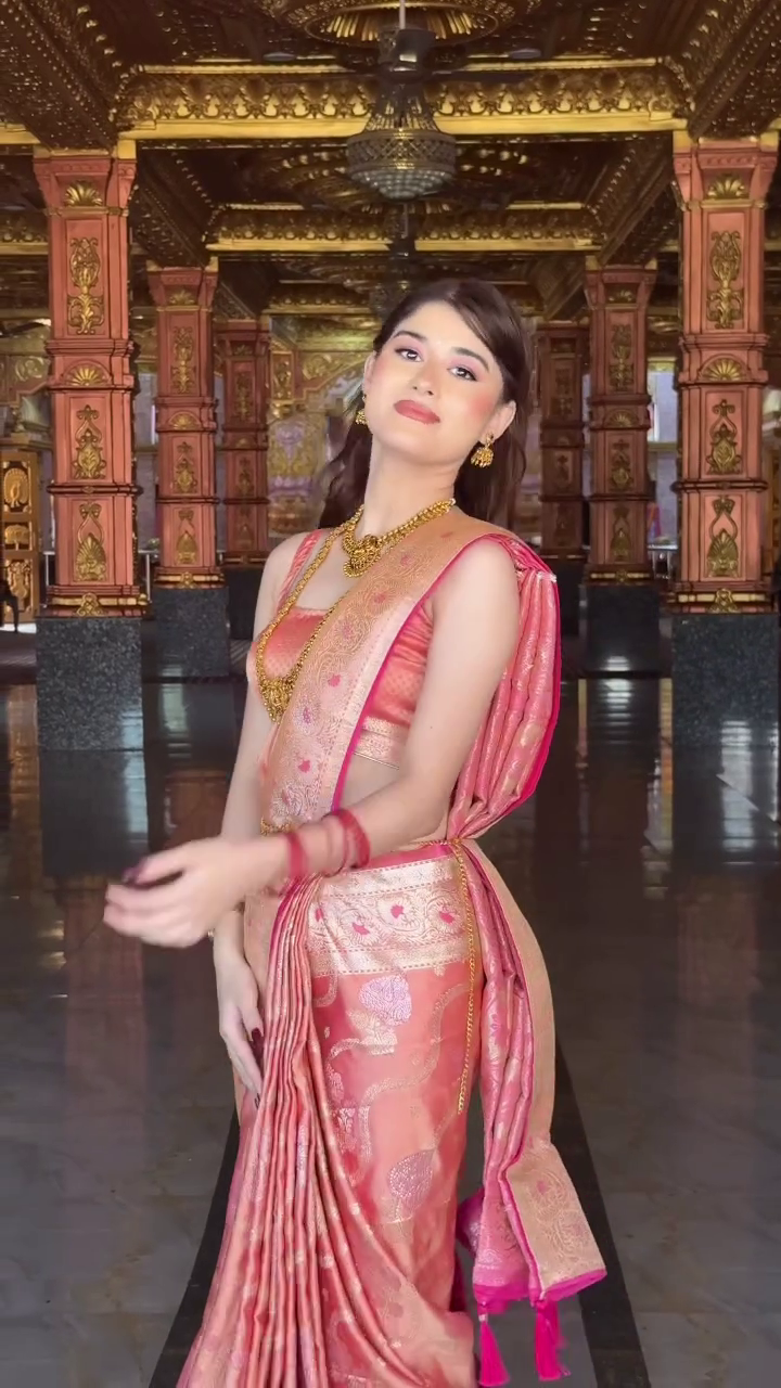 Organza Saree – Lightweight, Embroidered Border - Image 3